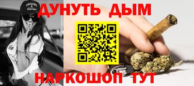 прущие крисы Гай