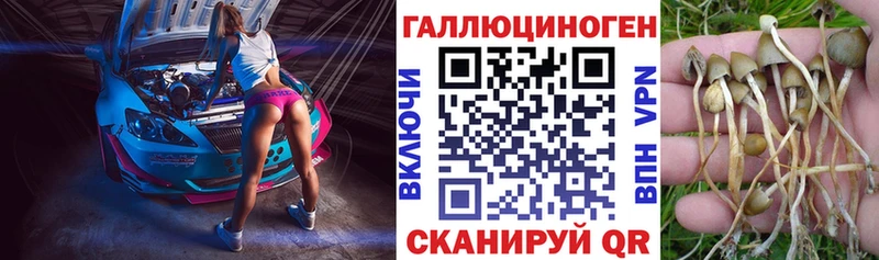 даркнет сайт  blacksprut как зайти  Галлюциногенные грибы Psilocybine cubensis  Белогорск 