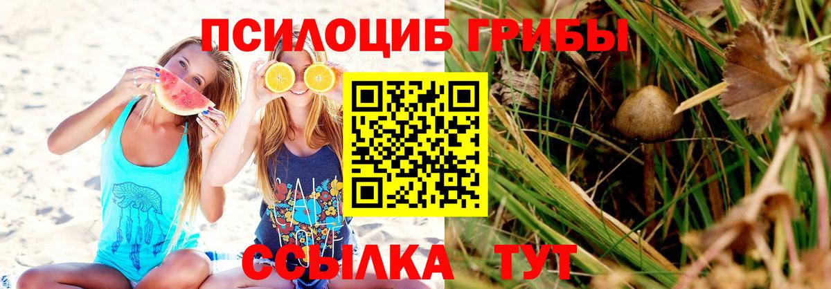 Белогорск  Галлюциногенные грибы мухоморы  Вход с VPN 